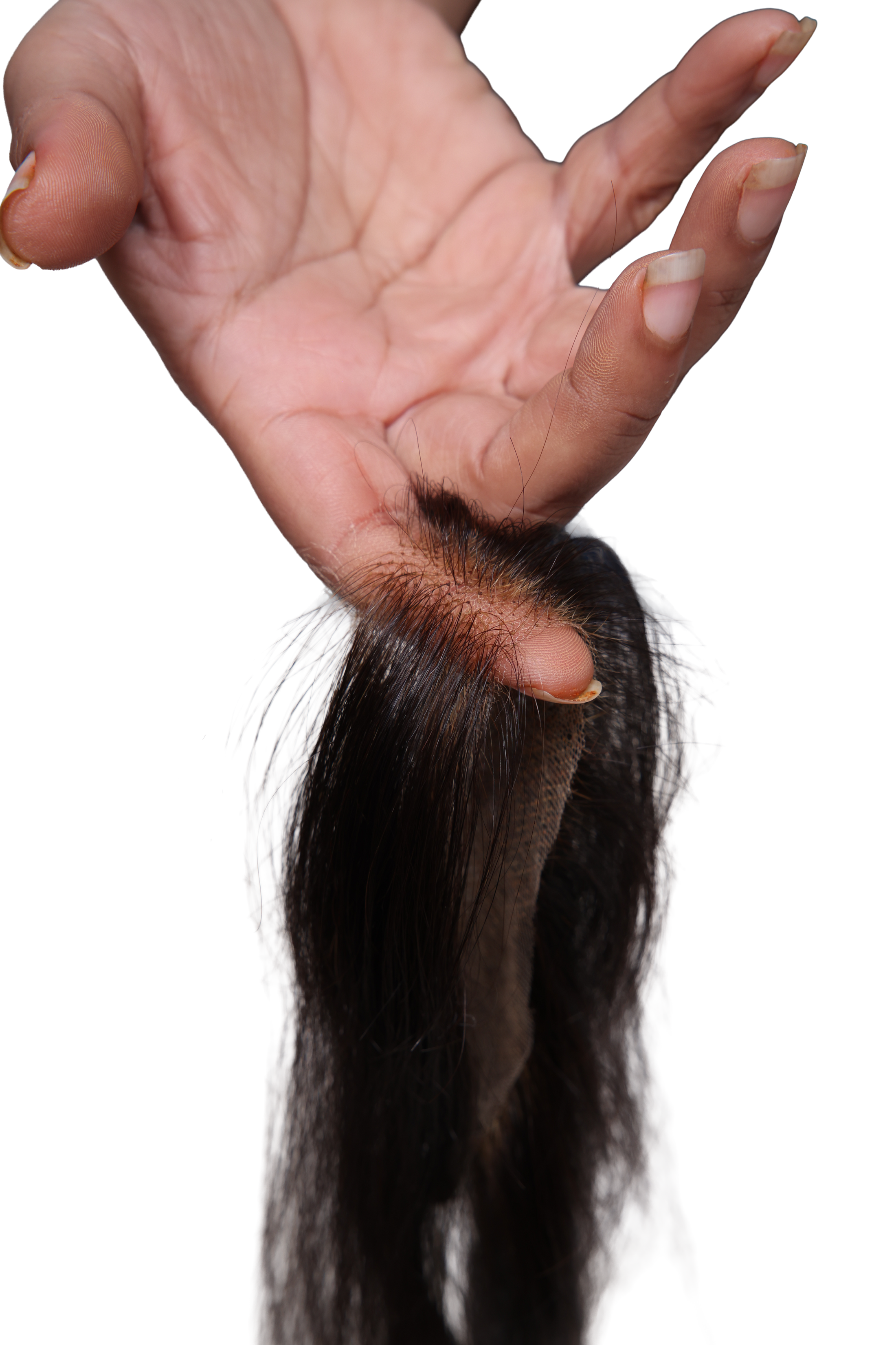 Receding Hairline Band